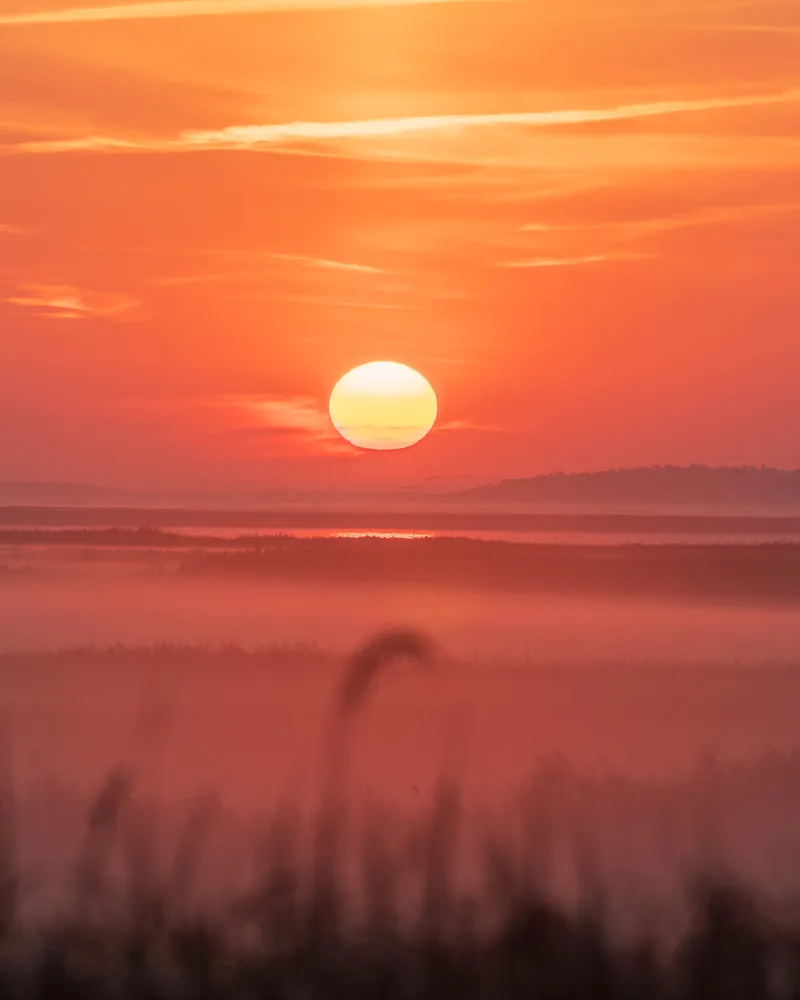 A red sun above mist on the water