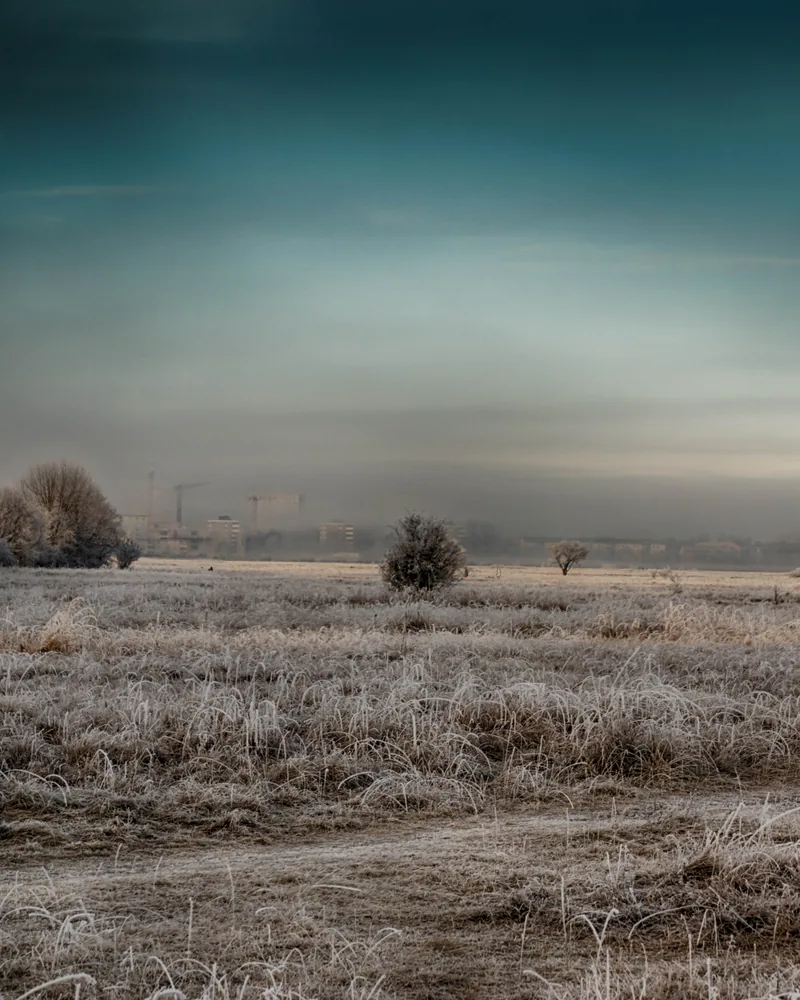 Hoarfrost on a meadow under a grey winter sky